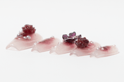 “Wine Stained Roses” Press on Nail set